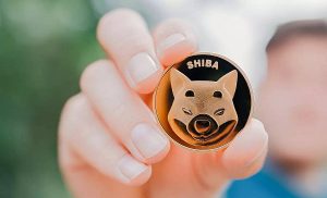 криптовалюта shiba-inu токен SHIB