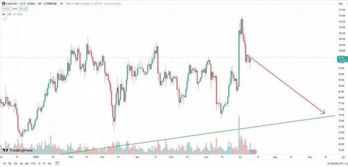 Litecoin криптовалюта ltc