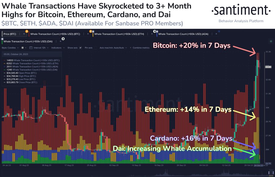 Накопление биткоинов, Ethereum, Cardano и Dai. Источник: Santiment