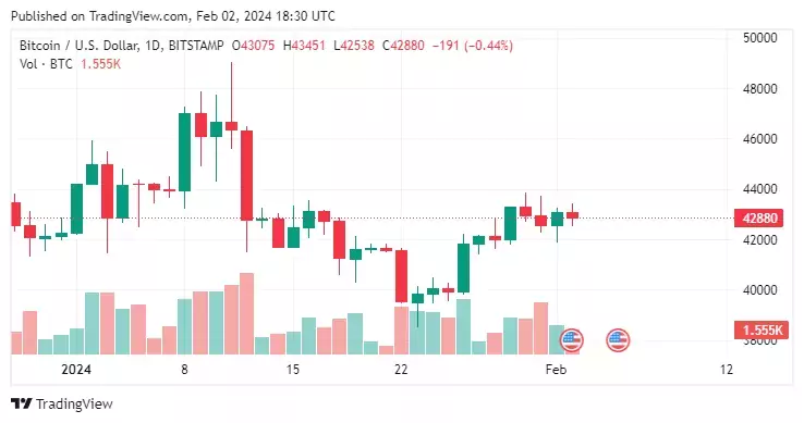 Bitcoin chart by TradingView График биткойнов от TradingView