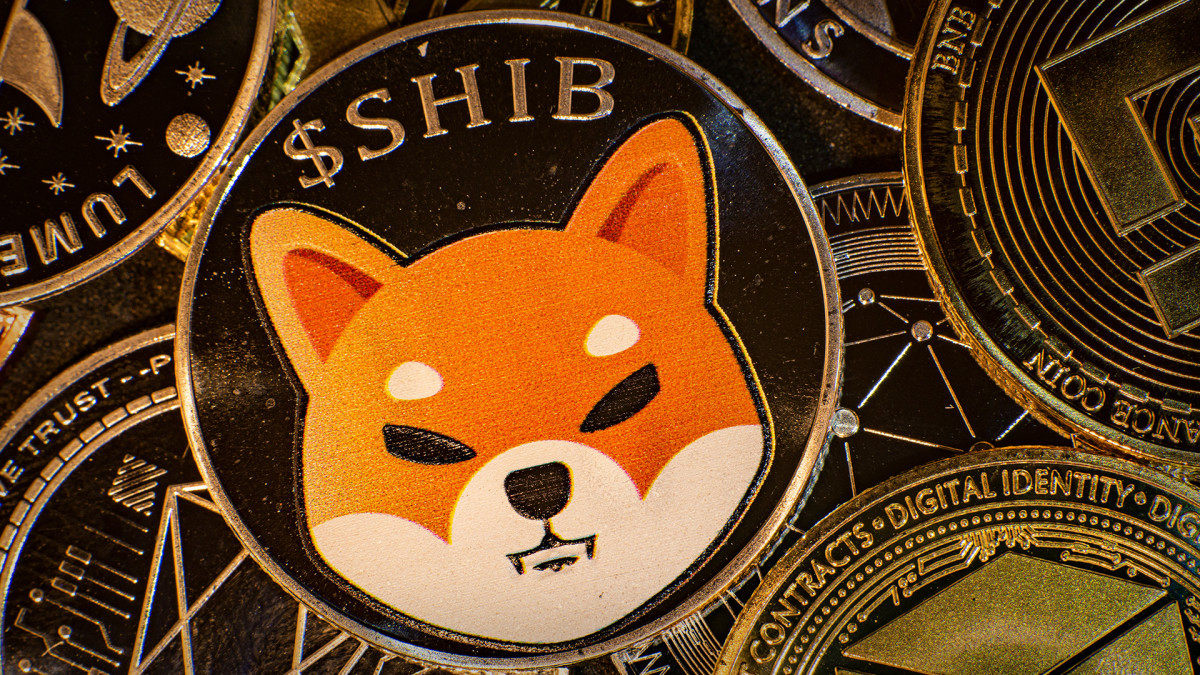 shib-coin