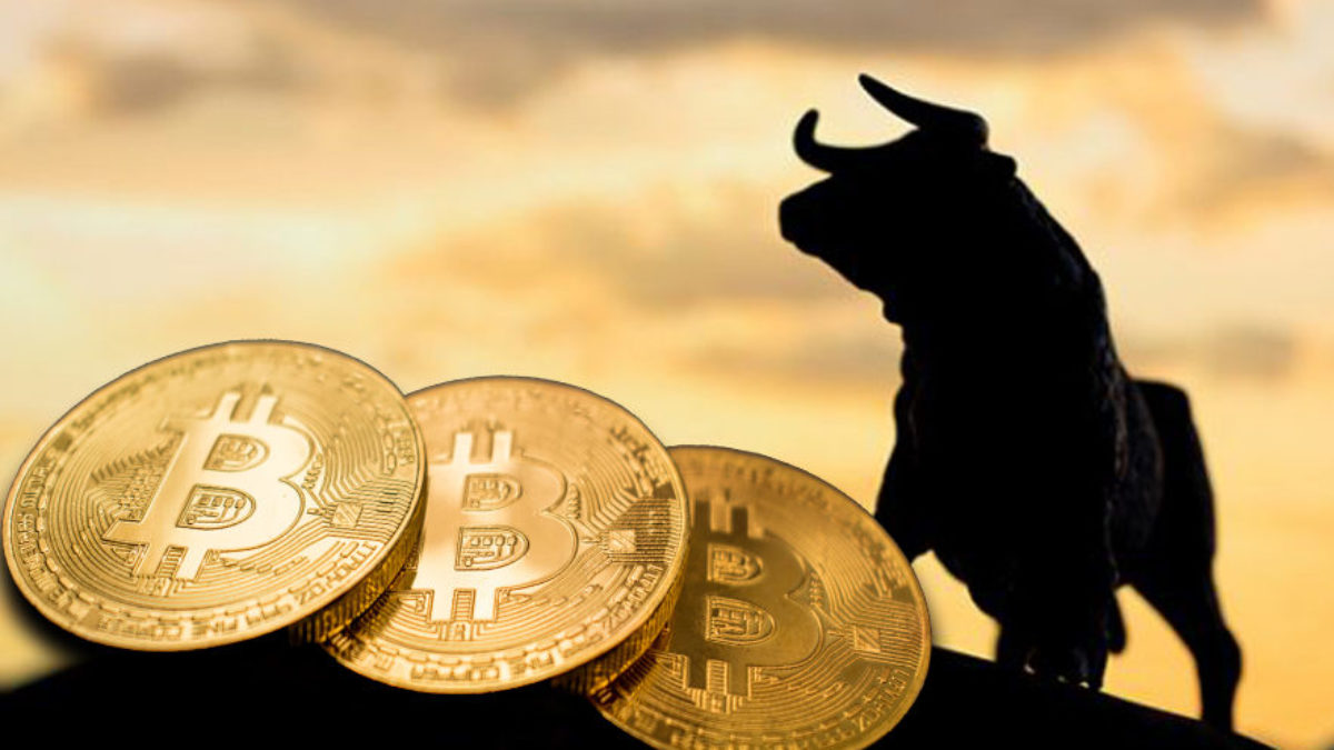 bitcoin bull