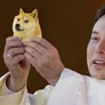 dogecoin elon musk