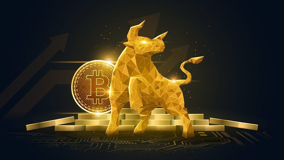 bitcoin bull