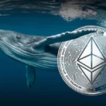 ethereum whale