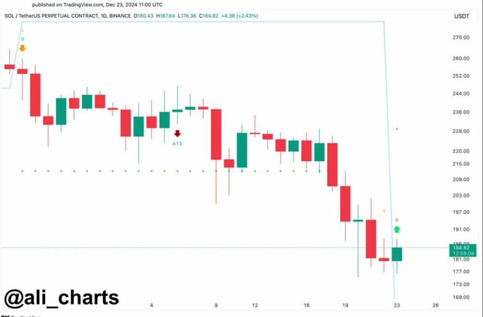 Анализ цены Solana. Источник: Али Мартинес