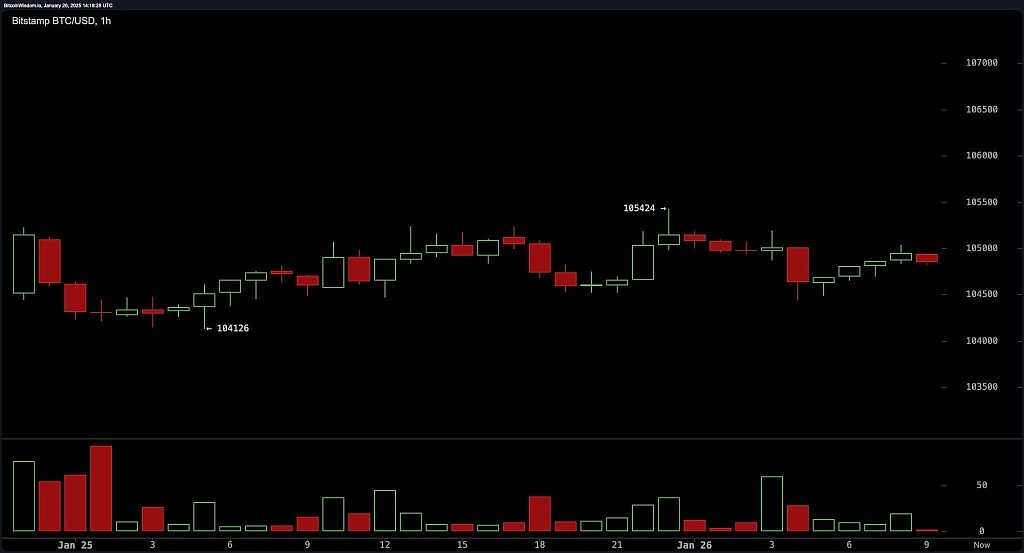 Часовой график BTC/USD на Bitstamp 26 января 2025 г.