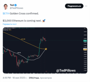 ted twit
