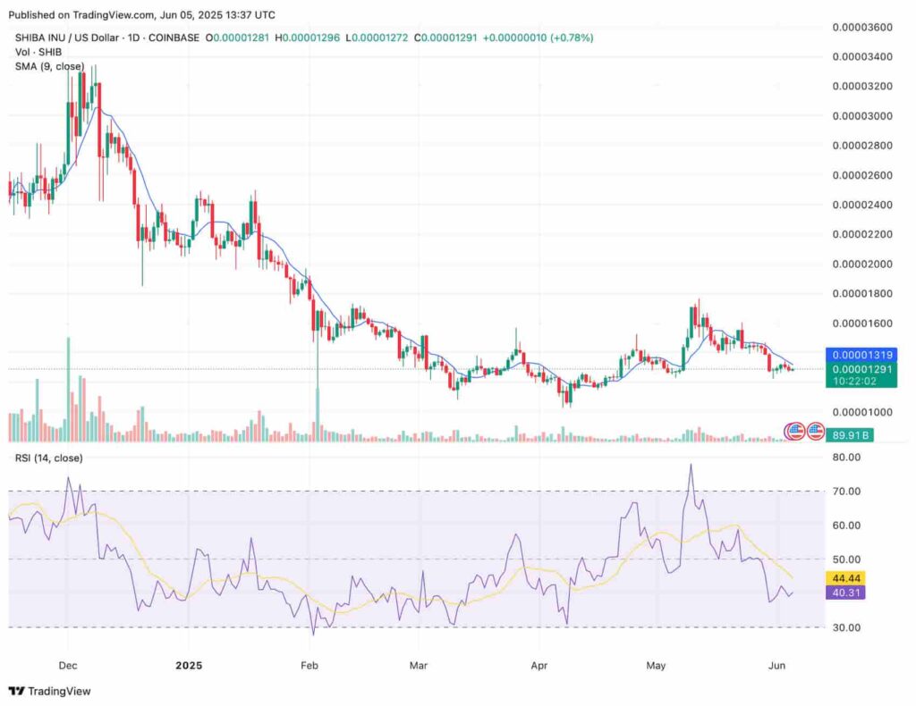 График SHIB с RSI и SMA. Источник: TradingView