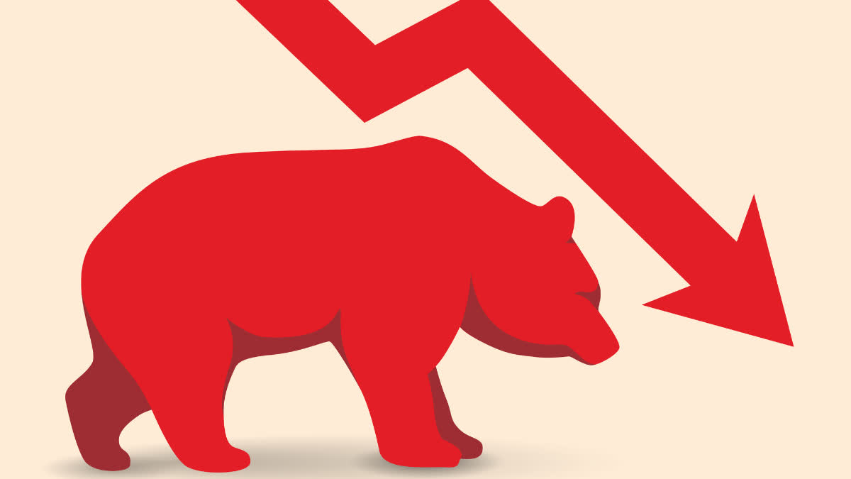 bear graph