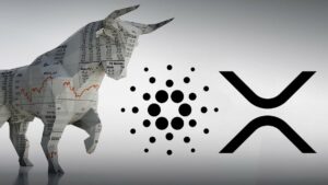 xrp cardano