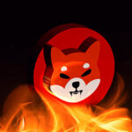 Shiba inu fire
