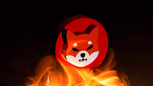 Shiba inu fire