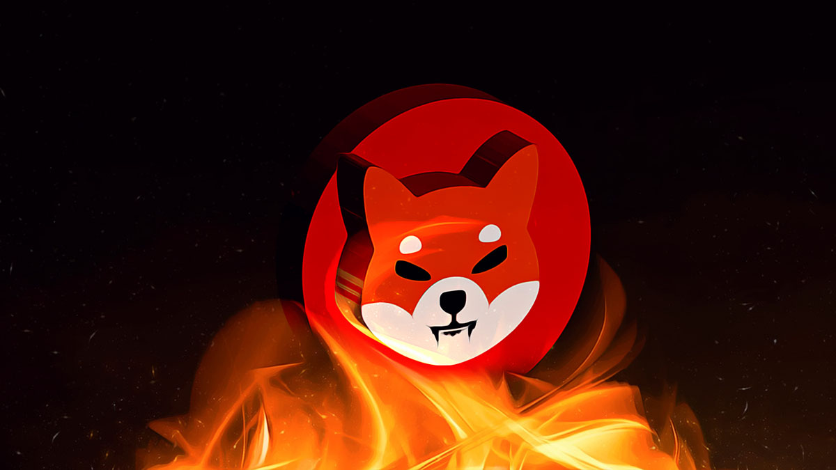 Shiba inu fire