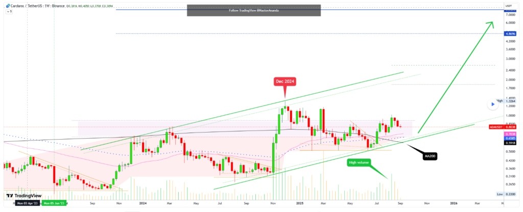 График с ценовым анализом ADA. Источник: TradingView