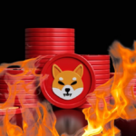 Shiba inu fire