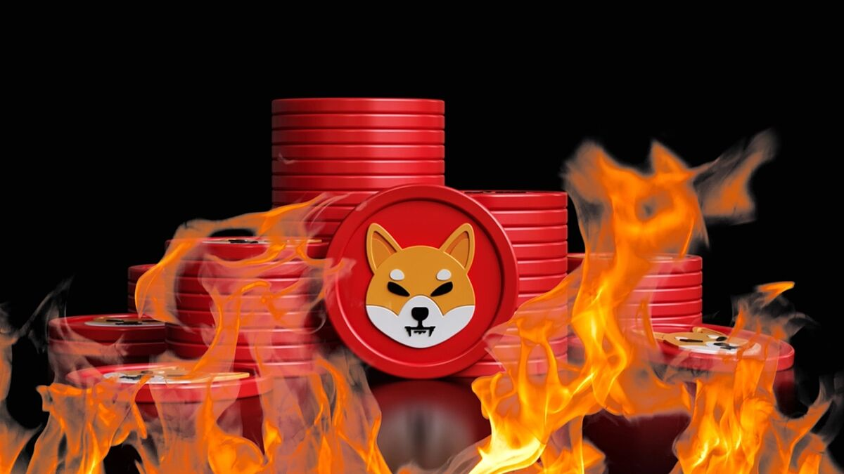 Shiba inu fire
