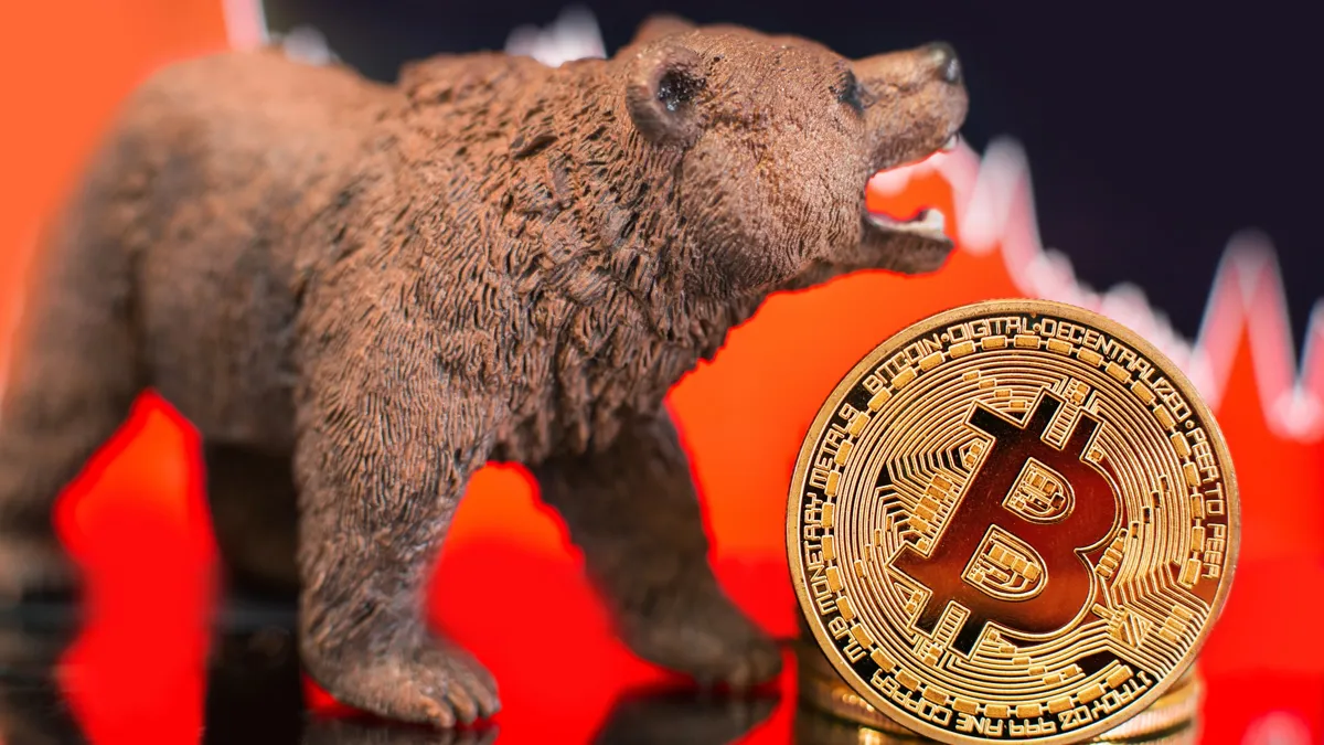 bitcoin bear