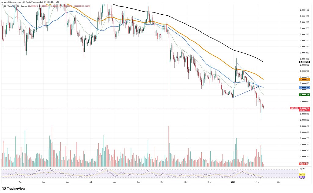 График SHIB/USDT. Данные TradingView